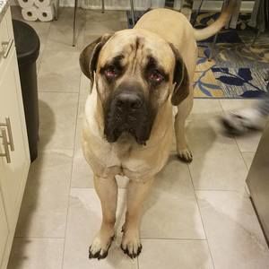 Meet your Posher, Caroline